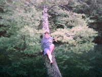 photos 2000-200901339